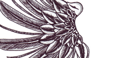 Wings